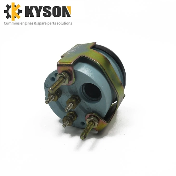 Water Temperature Gauge 3015234